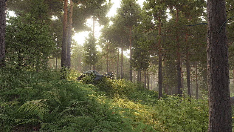 foxhole_3_sm.jpg