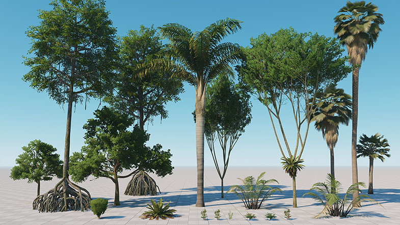 vegetation_sm.jpg