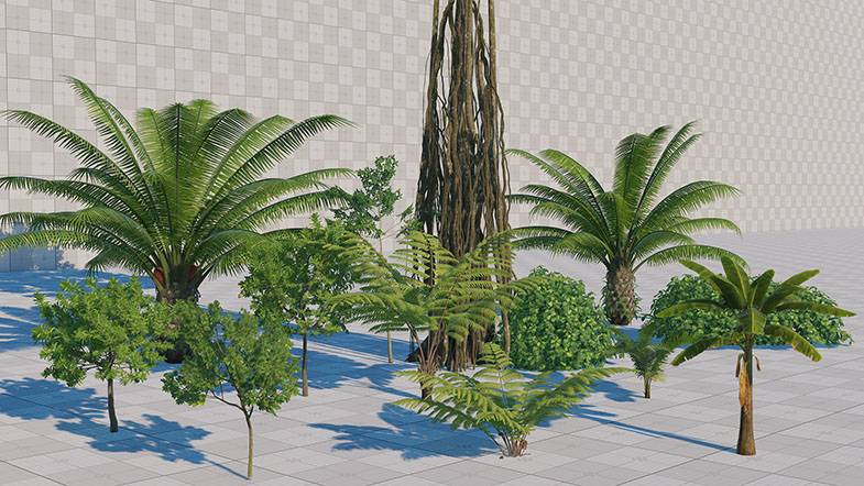 vegetation2_sm.jpg