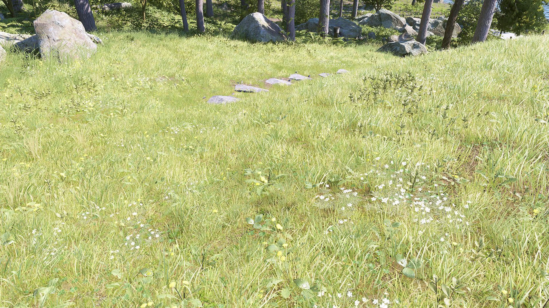 Screen-Space Shadows Off